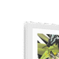 butterfly-tropicana-framed-print-31619750199452-3.png