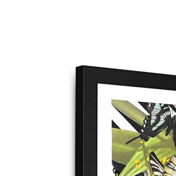 butterfly-tropicana-framed-print-31619750297756-3.png butterfly-tropicana-framed-print-31619750297756-3.png