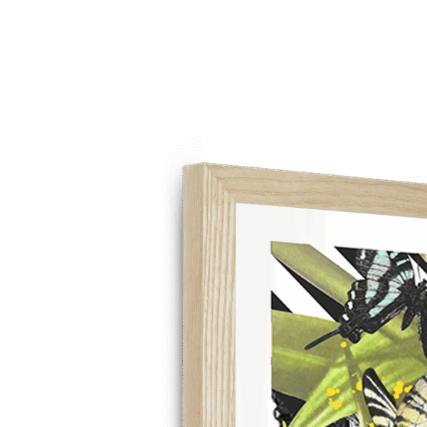 butterfly-tropicana-framed-print-31619750363292-3.png butterfly-tropicana-framed-print-31619750363292-3.png