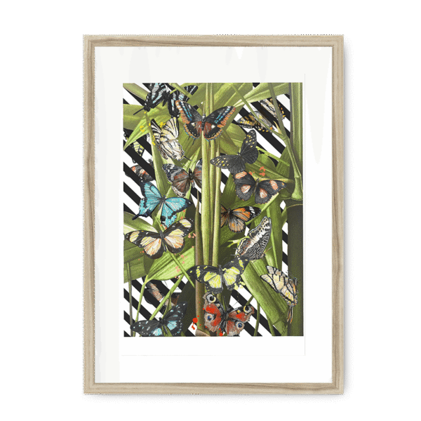 butterfly-tropicana-framed-print-31619750690972-3.png butterfly-tropicana-framed-print-31619750690972-3.png