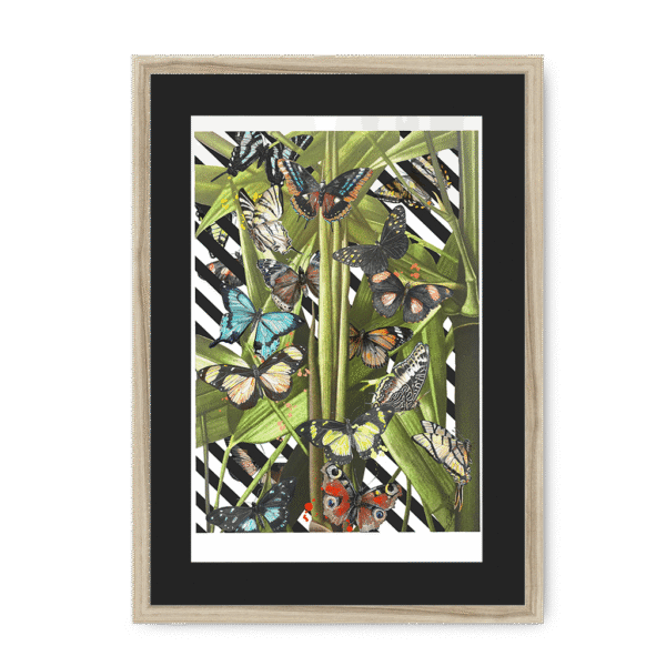 butterfly-tropicana-framed-print-31619750822044-3.png butterfly-tropicana-framed-print-31619750822044-3.png