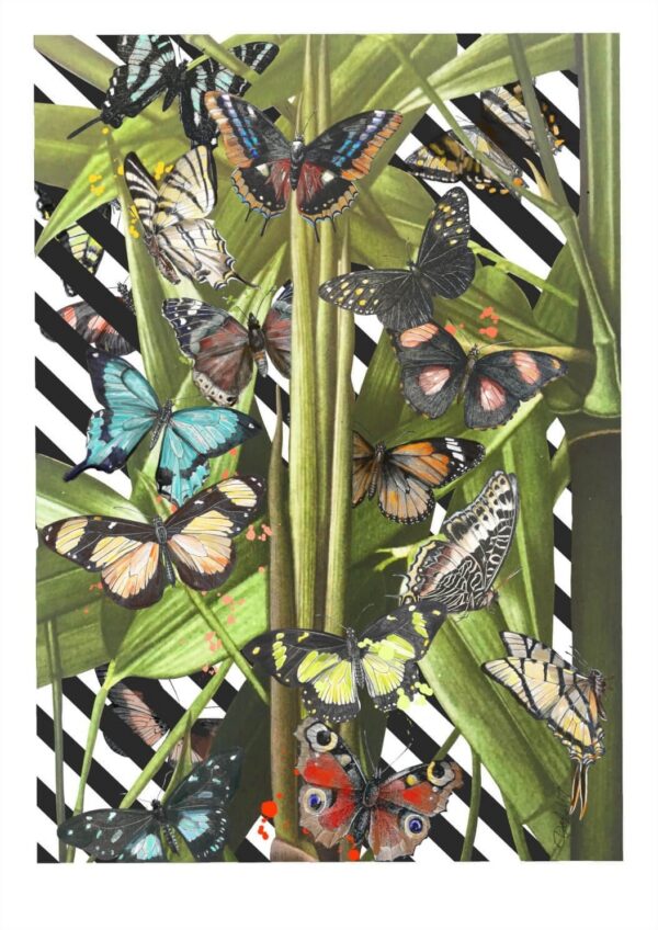 butterfly-tropicana-matte-art-print-16996988027036-3.jpg