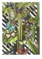 butterfly-tropicana-matte-art-print-16996988027036-3.jpg