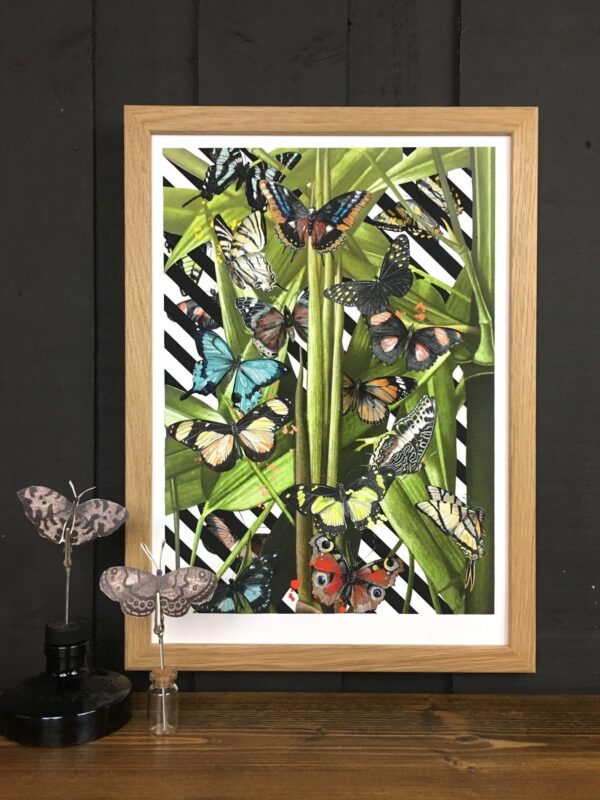 butterfly-tropicana-matte-art-print-16996988059804-3.jpg