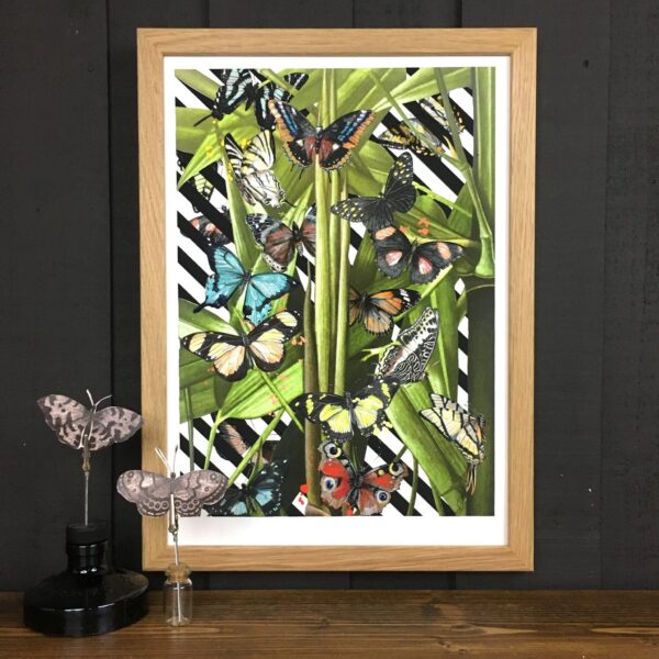 butterfly-tropicana-matte-art-print-16996988092572-3.jpg