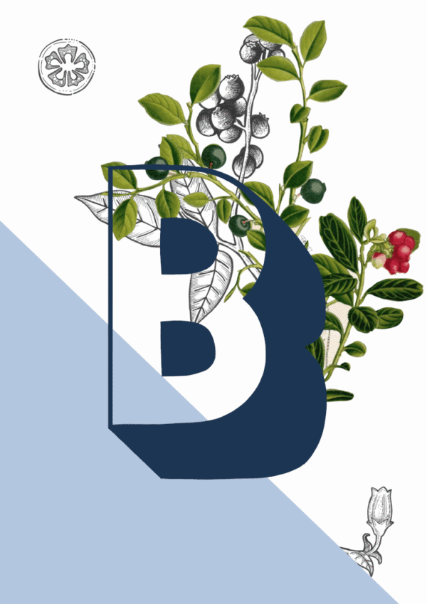 cafcbb81a421f1e3adc20cd357b21ce4861c158a_9b180150-0d4f-440f-a994-95f4de5fae76.png cafcbb81a421f1e3adc20cd357b21ce4861c158a_9b180150-0d4f-440f-a994-95f4de5fae76.png
