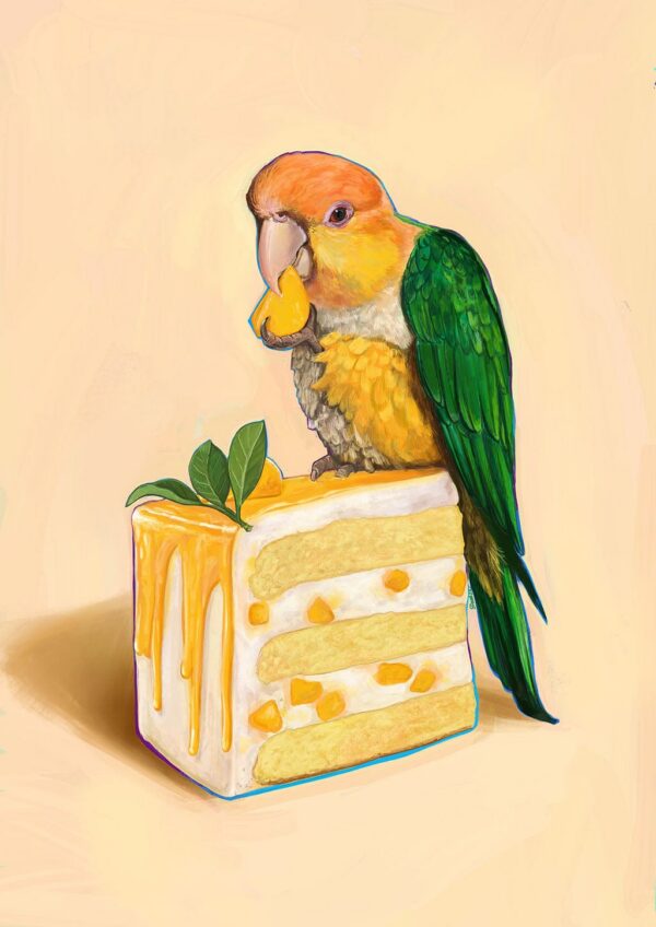 caique-on-cake-giclee-art-print-37746609520889-3.jpg