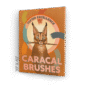 caracal-brushes-canvas-print-18460608987292-2.png
