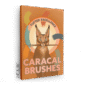 caracal-brushes-canvas-print-18460627468444-2.png