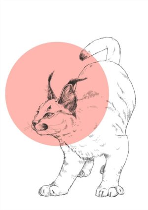 Caracal Matte Art Print