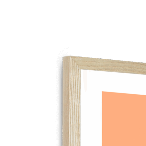 cat-cave-surprise-savagery-n-corner-3.png