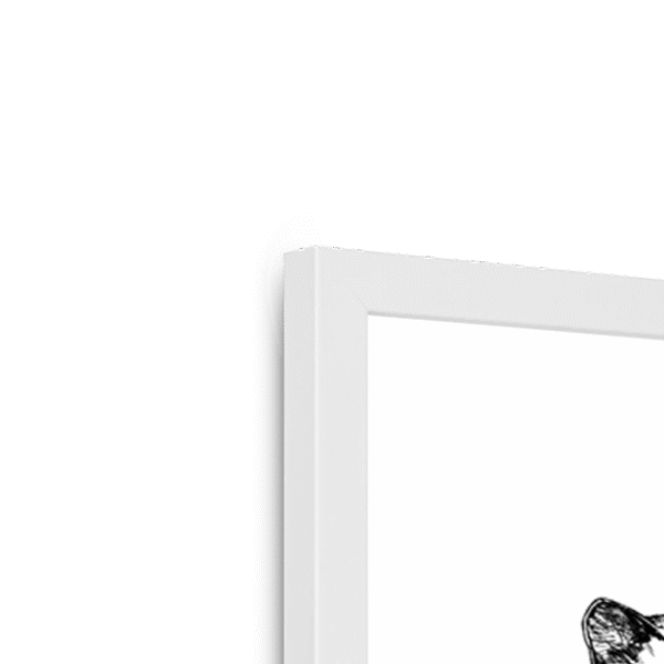 cataloupe-framed-print-31620135354524-5.png
