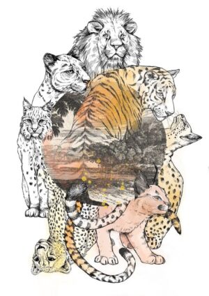 Cataloupe Matte Art Print