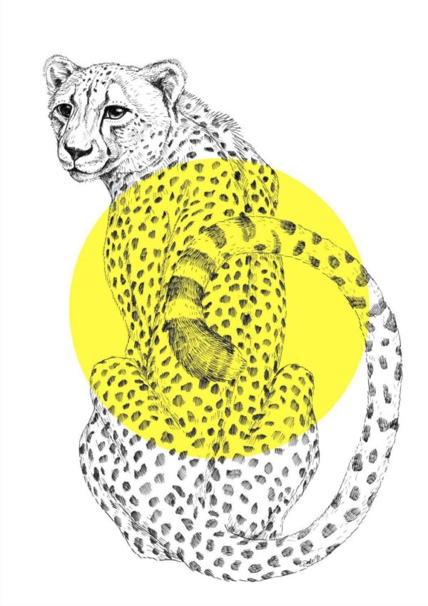 cheetah-matte-art-print-19847890469020-3.jpg