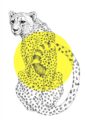 cheetah-matte-art-print-19847890469020-3.jpg