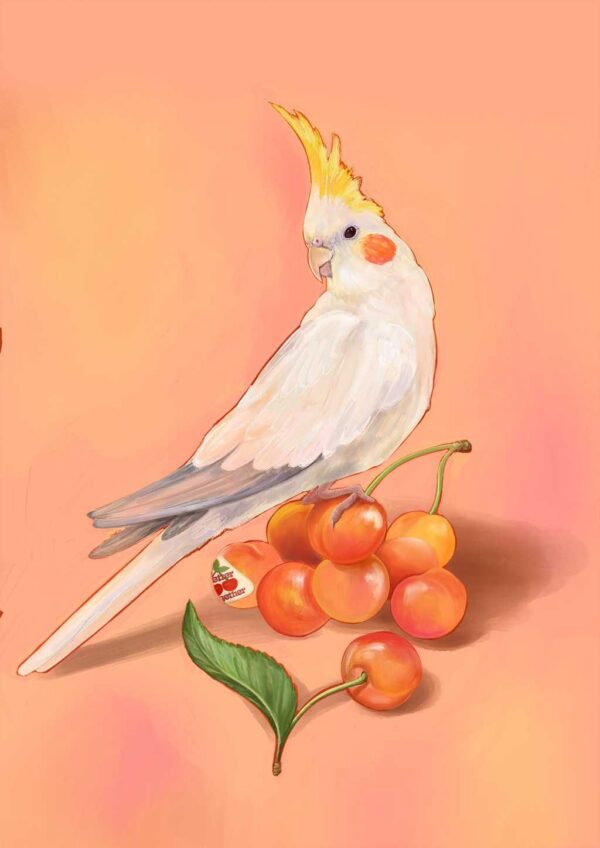 cherry-cockatiel-giclee-art-print-39061159248121-2.jpg cherry-cockatiel-giclee-art-print-39061159248121-2.jpg