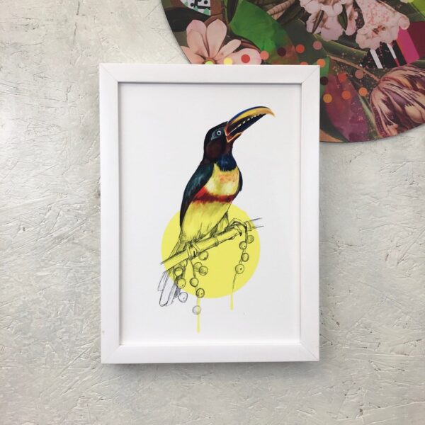 chestnut-eared-aracari-giclee-art-print-16949534195868-2.jpg