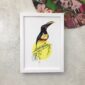 chestnut-eared-aracari-giclee-art-print-16949534195868-2.jpg