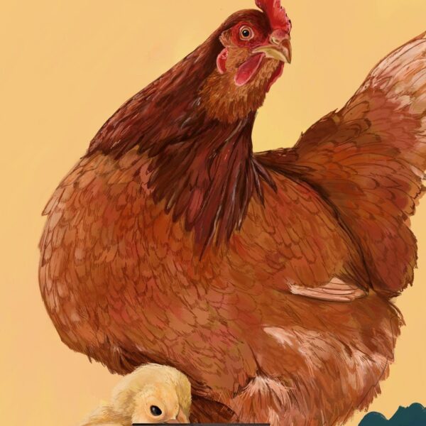 chirpy-cheep-cheep-chickens-giclee-art-print-38767006941433-2.jpg