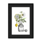chypre-bf-bm-3.png