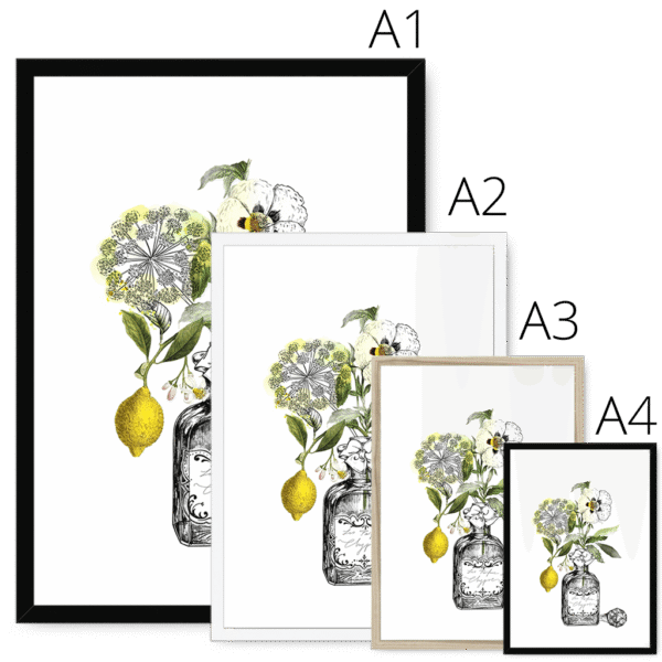 chypre-four-sizes-4.png