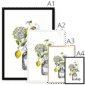 chypre-four-sizes-4.png