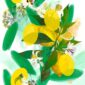 chypre-giclee-art-print-23944029307036-2.jpg