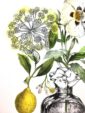chypre-matte-art-print-16996989337756-3.jpg