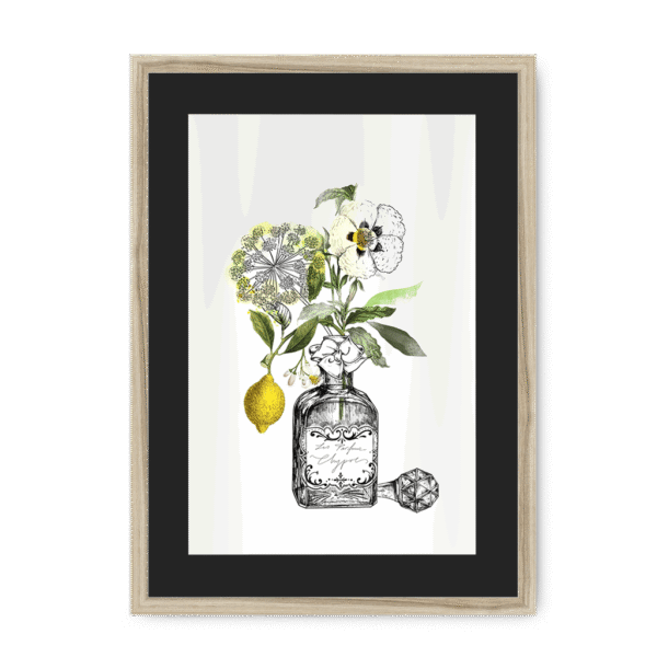 chypre-nf-bm-3.png