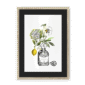 chypre-nf-bm-3.png