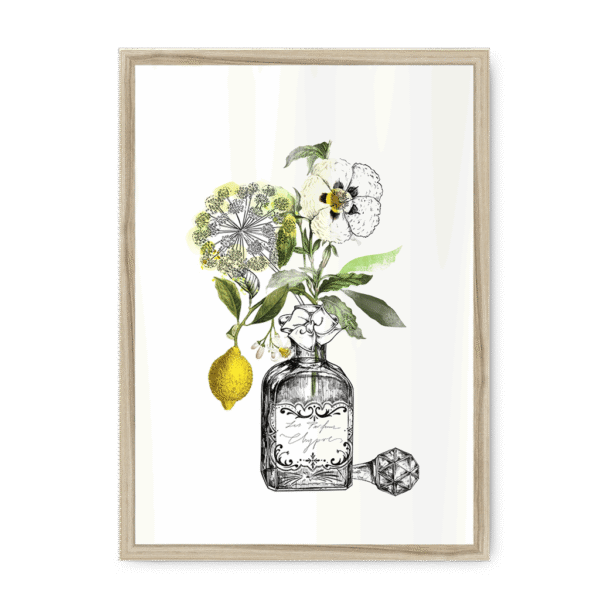 chypre-nf-nom-23.png