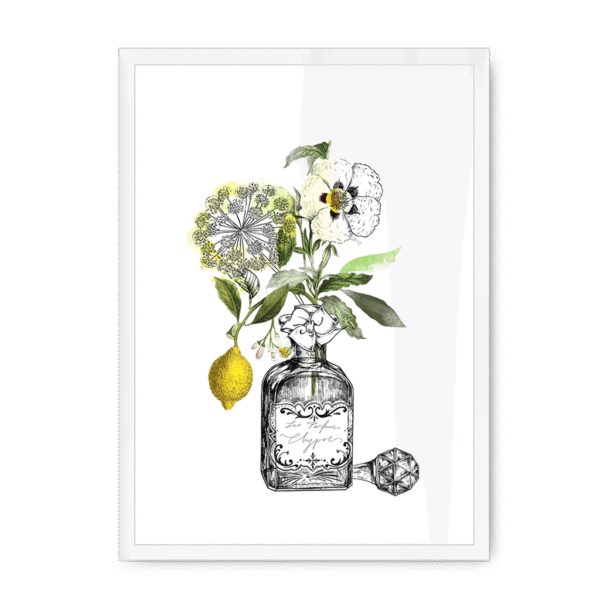 chypre-wf-nom-23.png