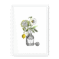 chypre-wf-wm-3.png