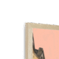 circus-lane-edinburgh-n-corner-6.png
