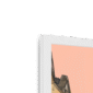 circus-lane-edinburgh-w-corner-6.png