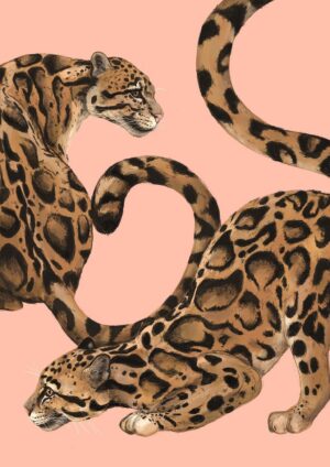 Clouded Elegance Giclée Art Print