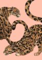 clouded-elegance-giclee-art-print-19020403900572-2.jpg