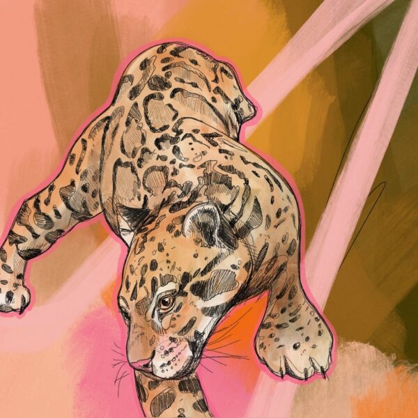 clouded-leopard-giclee-art-print-16949528133788-3.jpg