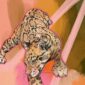clouded-leopard-giclee-art-print-16949528133788-3.jpg