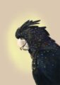 cockatwos-black-giclee-art-print-31109558993052-2.jpg