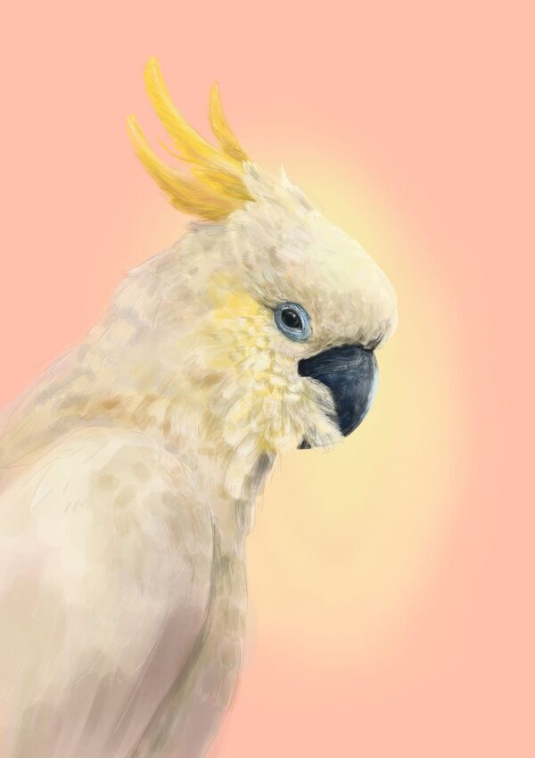 cockatwos-white-giclee-art-print-31109554045084-2.jpg