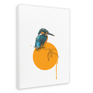Kingfisher Canvas Print