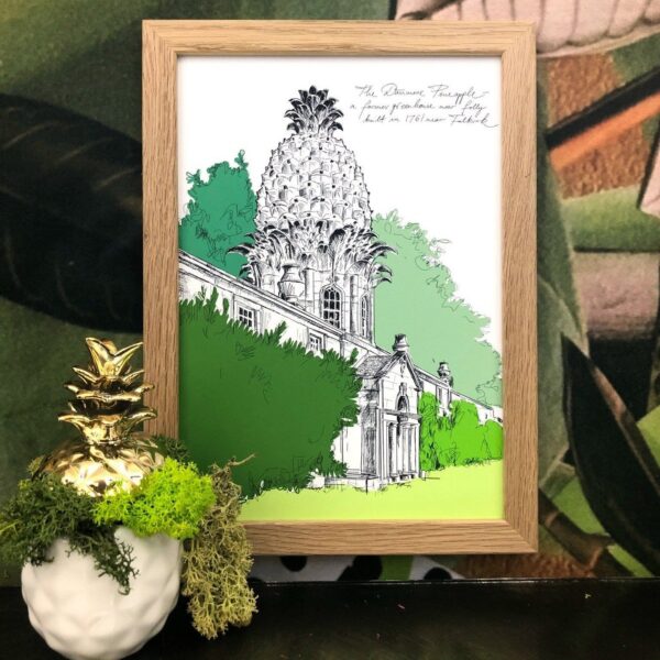 dunmore-house-pineapple-matte-art-print-18119000850588-3.jpg