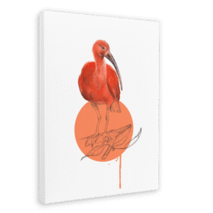 Scarlet Ibis Canvas Print