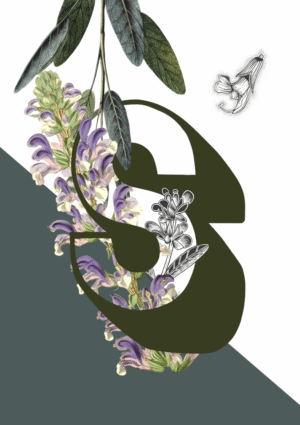 Botanical Alphabet S Matte Art Print