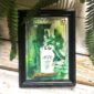 edinburgh-gin-1670-botanical-giclee-art-print-17936743956636-3.jpg