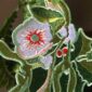 emhadebo-christmas-botanicals-hanging-decoration-5558983456788-20763482161308-2.jpg