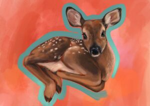 Fawn's Rest Giclée Art Print