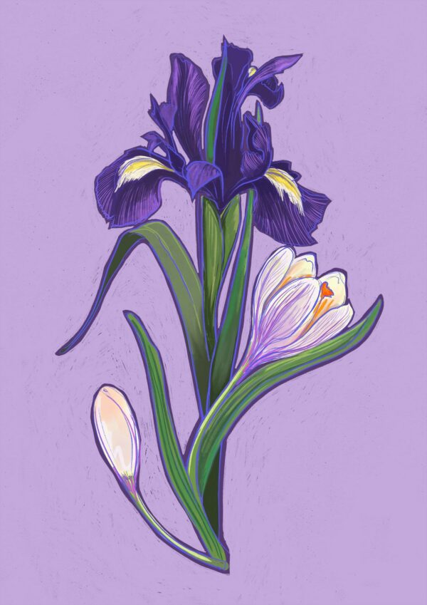 february-giclee-print-gift-card-set-30273622179996-2.jpg