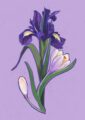 february-giclee-print-gift-card-set-30273622179996-2.jpg
